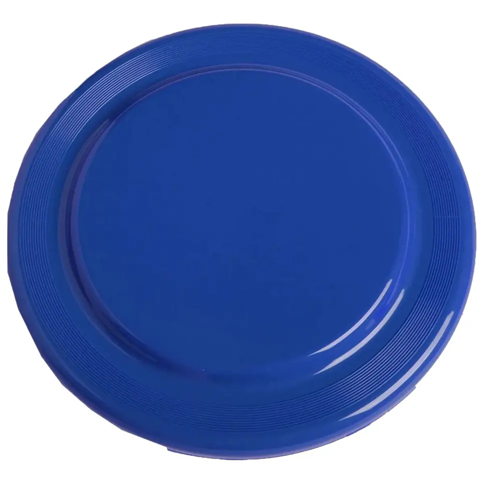 Vibrant Flyer Disc 2