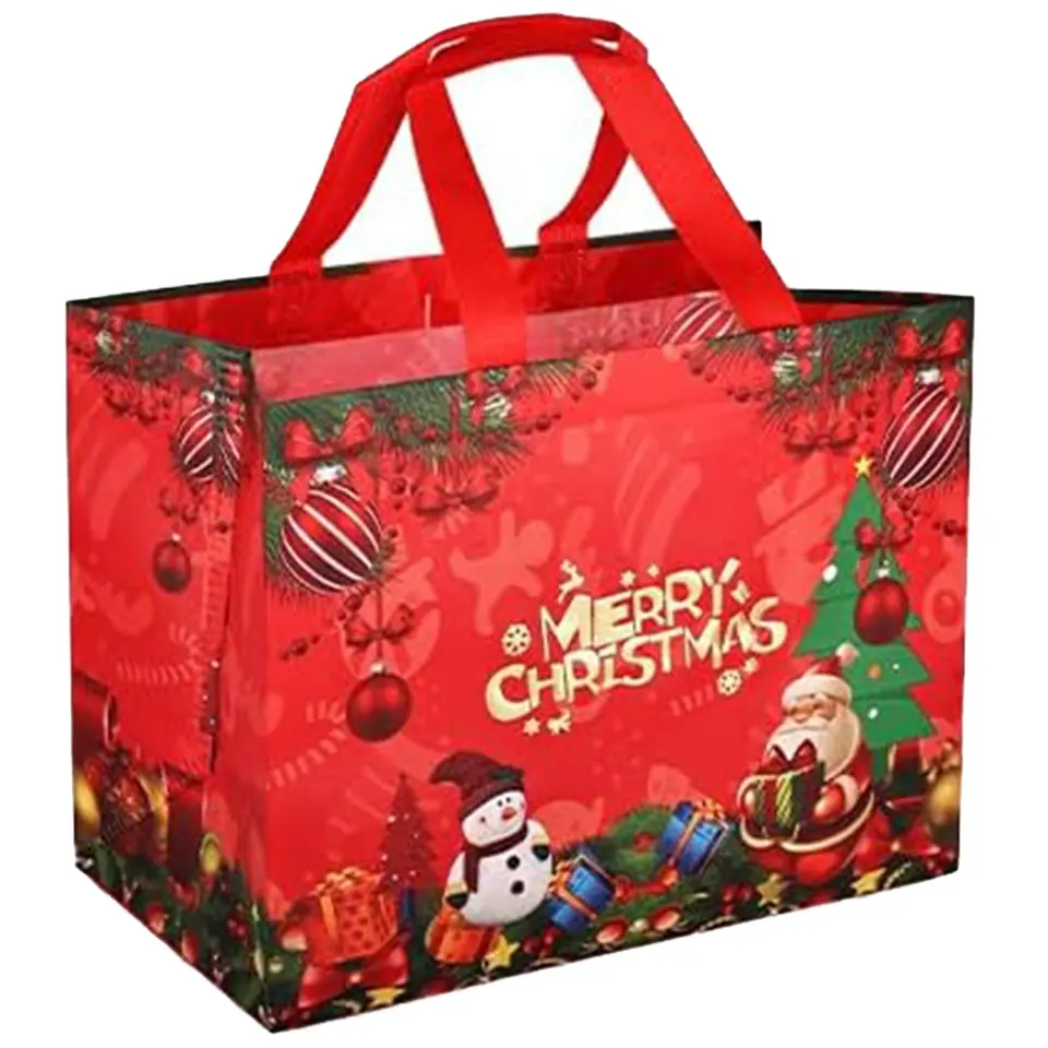 Eco-Friendly Holiday Gift Bag 2