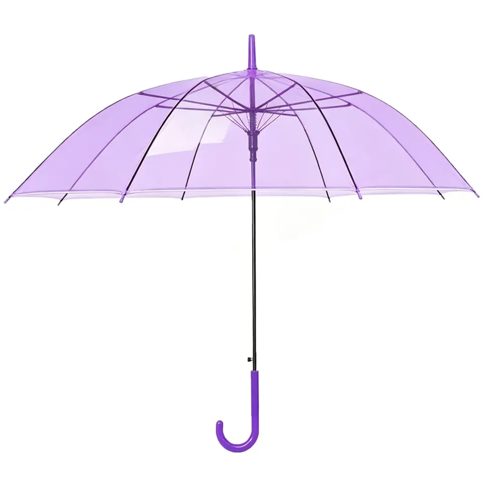 Clear View Rain Shield 2