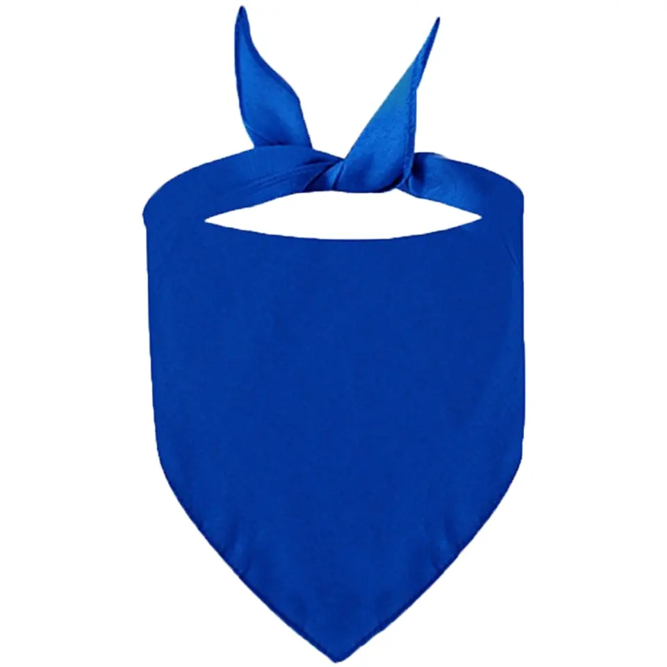 Pet Triangle Bandana 2