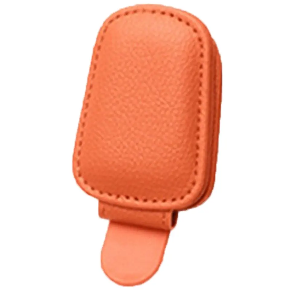 Auto Visor Eyewear Organizer 2