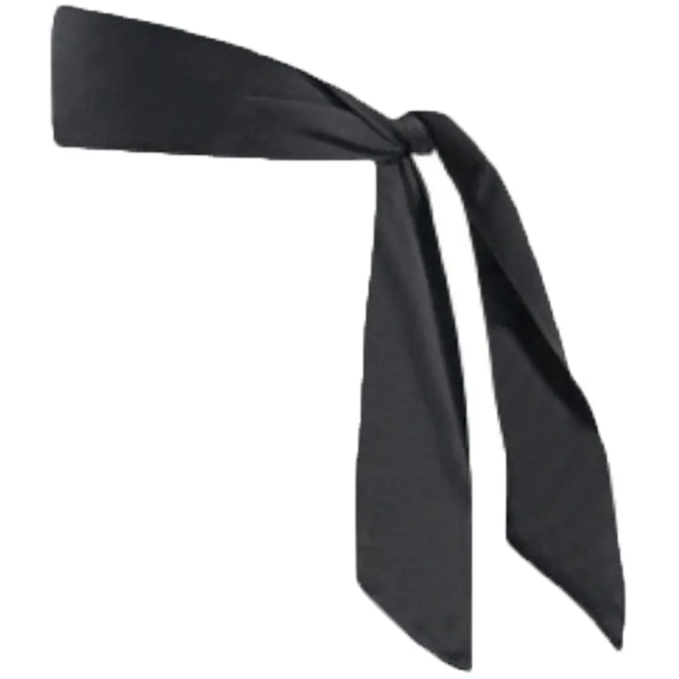 Performance Sweat-Wicking Headband 2
