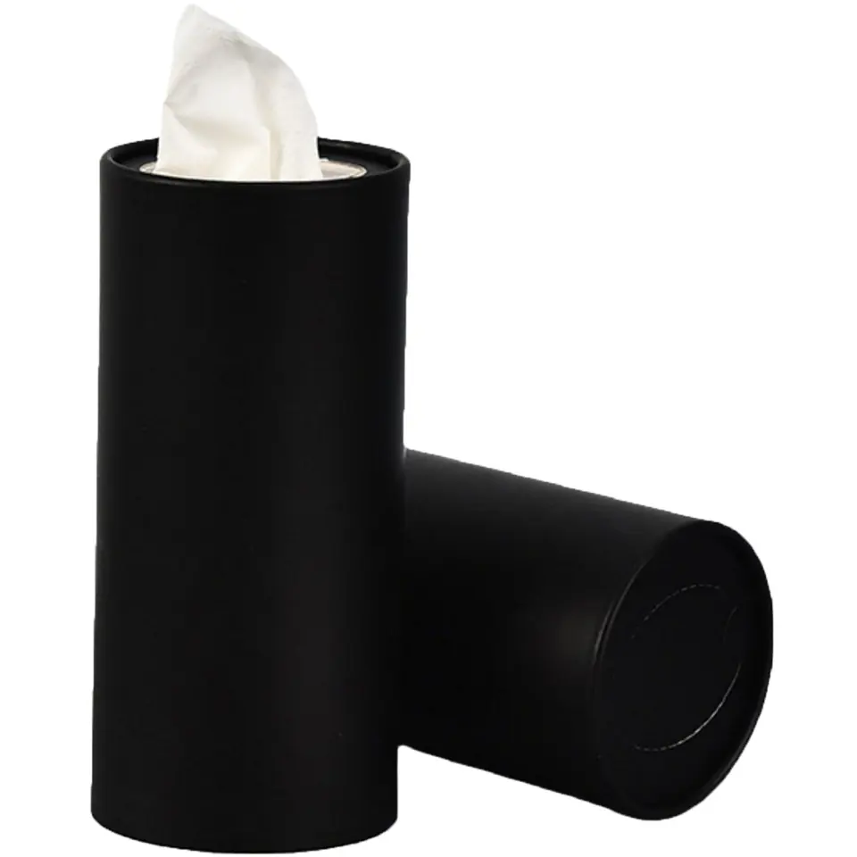 Compact Car Tissue Dispenser 2