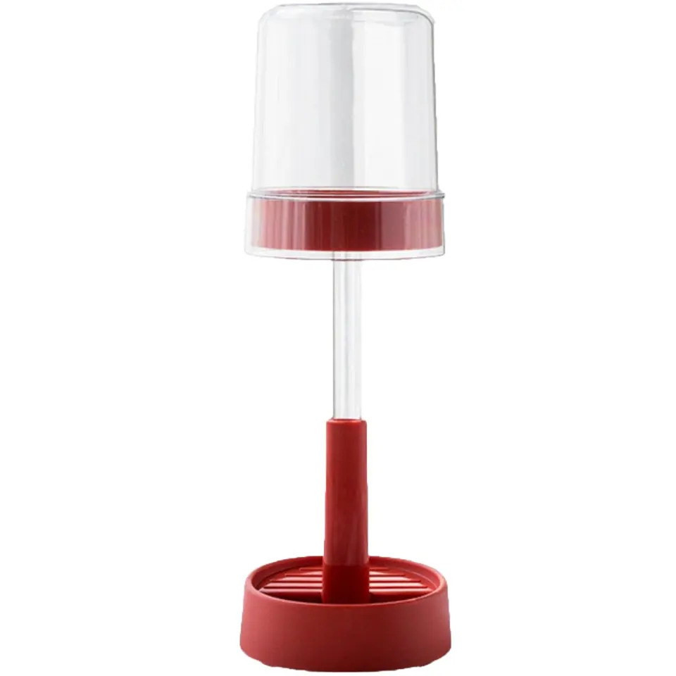 Clear Dual-Purpose Oral Care Organizer 2