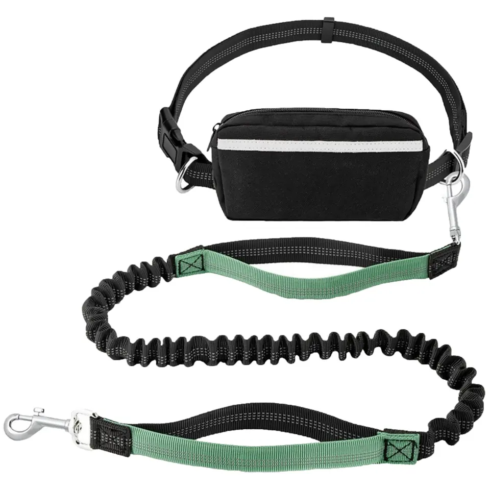 Versatile Hands-Free Dog Walking Belt 2