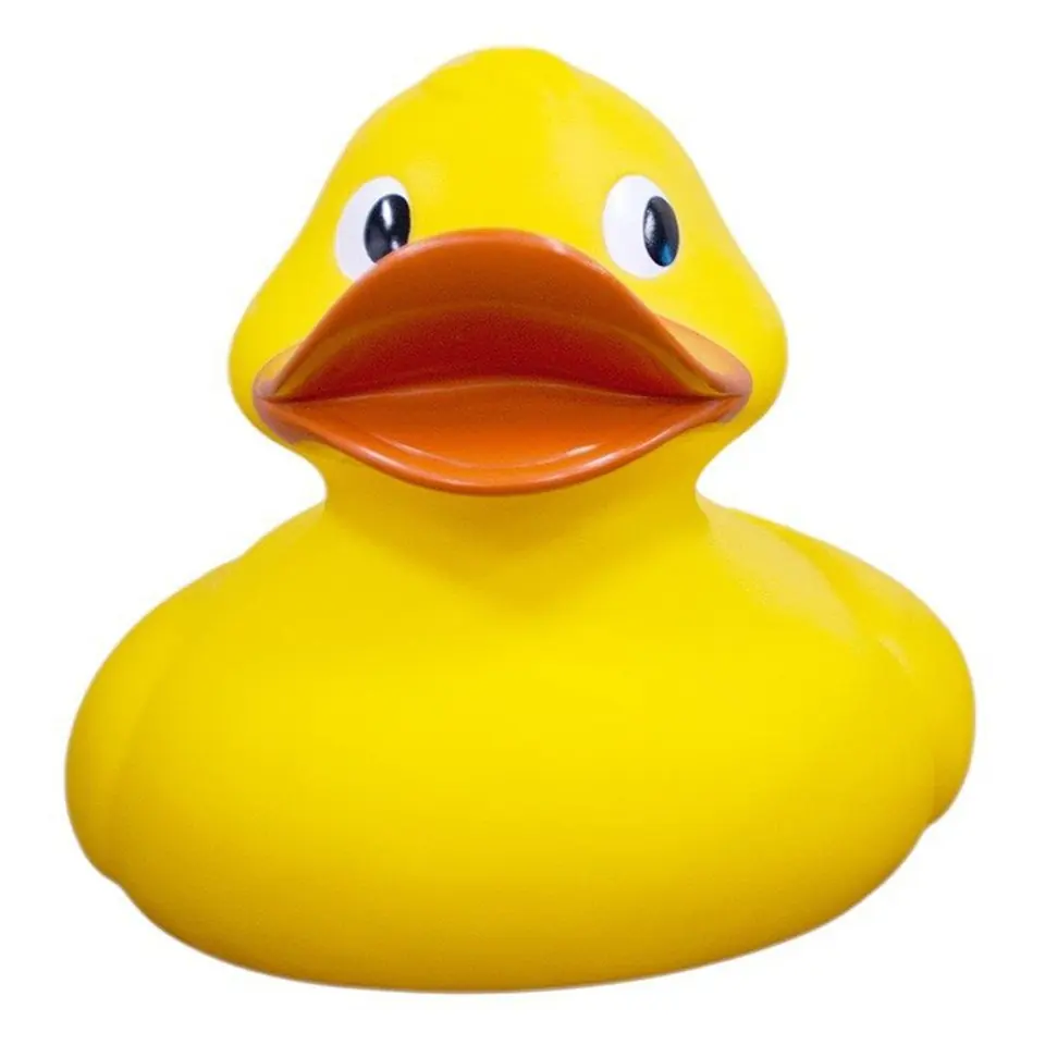 Giant Bath Duck 2