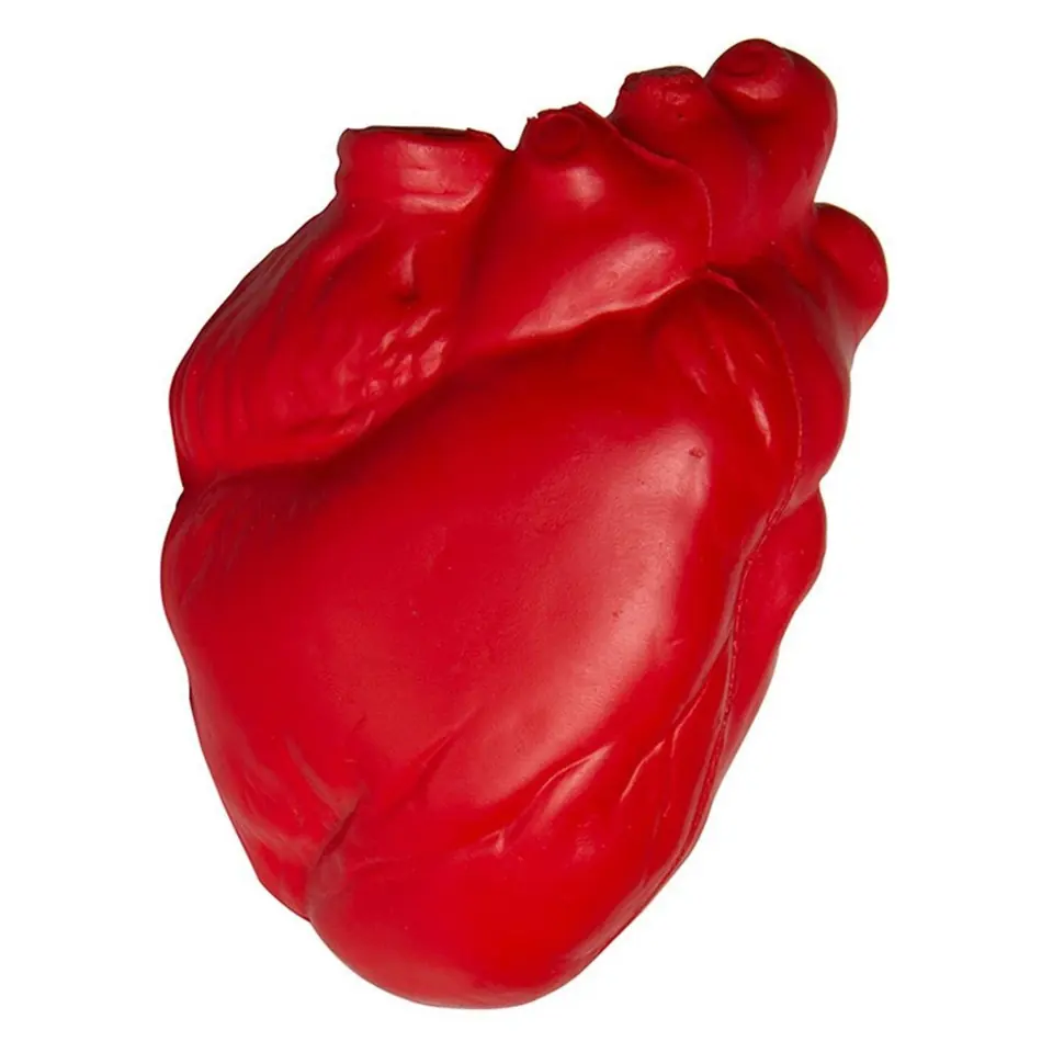 Anatomical Heart Stress Reliever 2