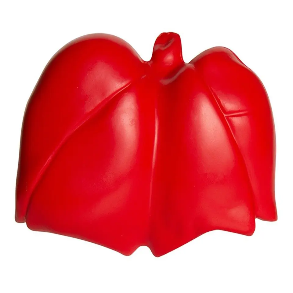 LungShaped Stress Ball 2