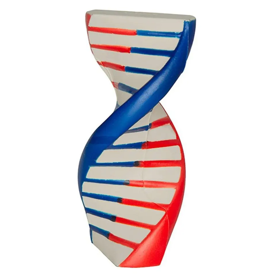 DNA-Shaped Stress Relief Toy 2