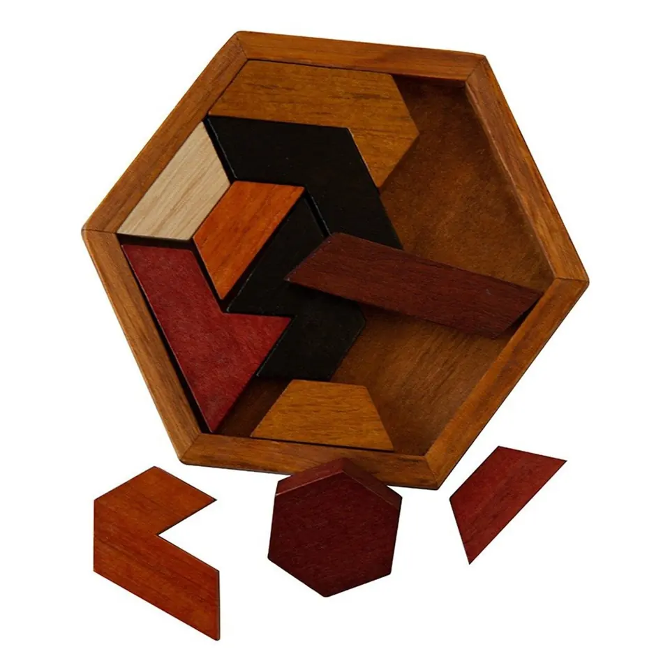 Geometric Wooden Brain Teaser 2